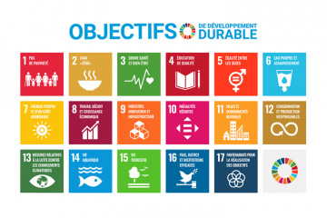 Comment l'ESS contribue aux Objectifs de Développement Durable ?  - Crédit photo : DR.