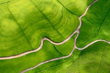 Mécénat environnemental, RSE & le piège du greenwashing