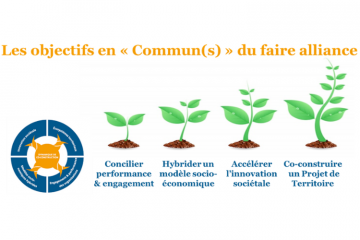 Alliances : quels objectifs en « commun(s) » ?