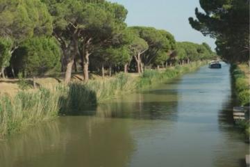 Les Mutuelles AXA  et VNF : un partenariat fructueux pour la biodiversité