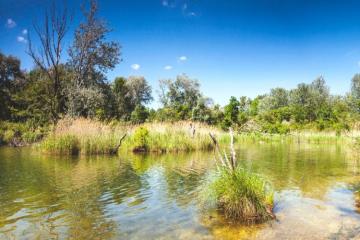 CNP Assurances soutient l’initiative Nature Impact de WWF France  en faveur du climat et de la biodiversité