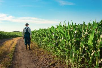 18 % des ménages agricoles vivent sous le seuil de pauvreté. Crédit : OlenaMykhaylova - iStock.