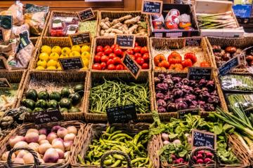 Territoires zéro faim : un pas dans la lutte contre la précarité alimentaire ?