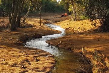 La Fondation VINCI Autoroutes investit un nouveau territoire d'action : le soutien de projet en faveur de la biodiversité