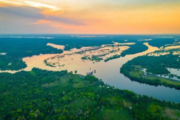 CNP Assurances soutient l’Institut de Conservation et de Développement Durable de l’Amazonie en faveur de la bioéconomie amazonienne