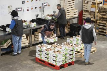 Emploi : faire de la lutte contre le gaspillage alimentaire un tremplin vers l’insertion professionnelle