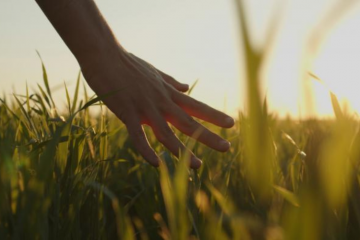 « Pleine nature pour les jeunes d’Occitanie » : le nouvel appel à projet lancé avec le Fonds Occ’ygène