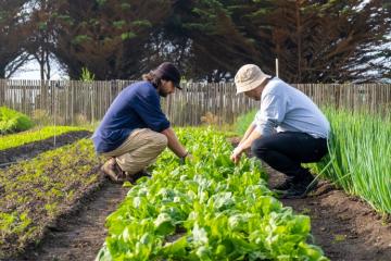 Agriculture : un projet de loi insuffisant pour accompagner l’installation de futurs paysans