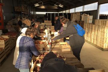 Paniers solidaires pour Octobre Rose