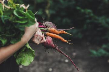 L'Agence bio informe et collecte des données sur l'agriculture biologique. Crédits : iStock.