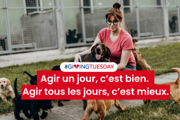 Un petit geste chaque jour, une grande générosité toute l’année