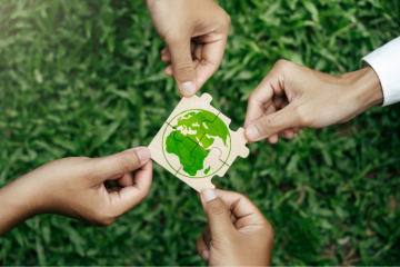 4 manières de s’engager pour l’environnement 