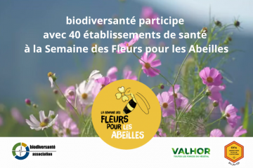 biodiversanté participe à la Semaine des Fleurs pour les Abeilles et emmène 40 établissements de santé dans la dynamique !