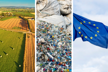 Pollution plastique, loi Duplomb, CSRD... Retour sur les actualités environnementales du mois d’août 