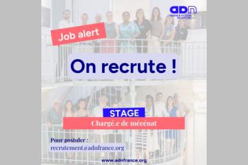 ADN recrute : stage chargé.e de mécénat