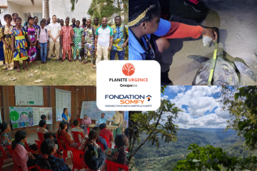 4 salariés SOMFY en mission à l'international avec la Fondation SOMFY et Planète Urgence