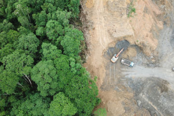 Déforestation importée : la Commission européenne propose de reporter d’un an supplémentaire l’entrée en vigueur du règlement 