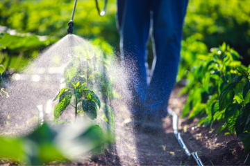 Ces acteurs de la santé qui militent pour transformer notre système alimentaire 