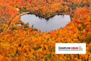  Pour la biodiversité, chaque voix compte : votez pour votre Coup de cœur !