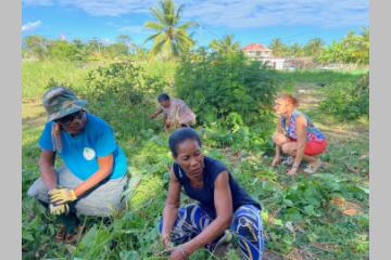 Les femmes d’outre-mer en première ligne pour construire un monde durable 