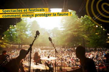 Spectacles & Festivals en plein air et biodiversité : comment accorder nos violons pour mieux protéger la faune ?
