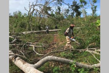 Solidarité Mayotte : accès à l’eau, reconstruction durable, soutien psychologique, relance économique… 1 an après Chido, la Fondation de France a déjà soutenu 238 actions à Mayotte