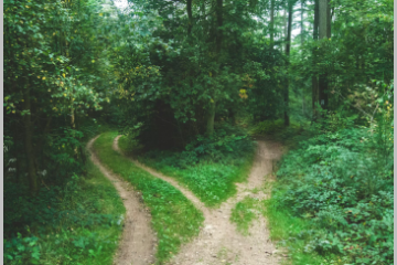 (Re)définir sa raison d’être en cours de route : bonne ou mauvaise idée ?