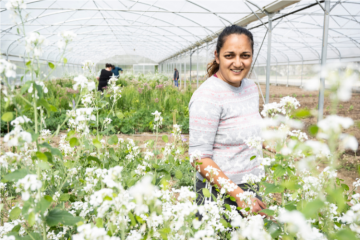 LIL’Ô : DÉMONSTRATEUR DE LA RECONQUÊTE DE LA BIODIVERSITÉ