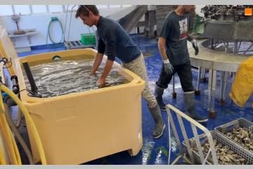 En Nouvelle Aquitaine, formation autour de l'ostréiculture avec le projet Apprendre Autrement de la Fondation Orange