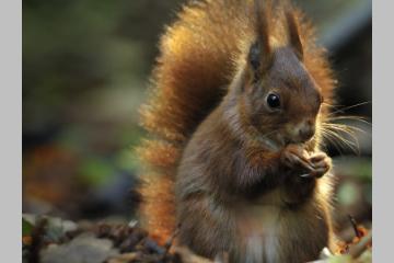 Appel à projets 2026 : pour la biodiversité, chaque projet compte ! 
