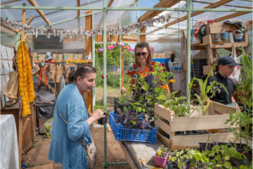Il ne suffit pas de planter pour agir pour la biodiversité ! Découvrez le bilan de l’expérimentation menée par Pépins Production