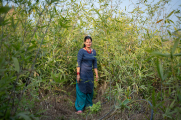 QUAND LES INÉGALITES DE GENRE NOURRISSENT LA FAIM :  QUEL RÔLE POUR LE SECTEUR PRIVÉ ?