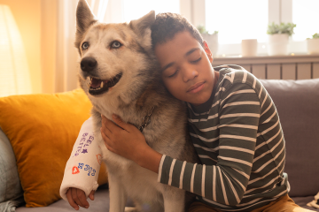 Du compagnon au partenaire de soin : comment la médiation animale transforme le quotidien des patients