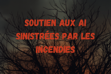 Soutien aux Associations Intermédiaires sinistrées par les incendies