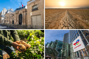 Six actualités écologiques et sociales qui ont marqué l’été 2026 