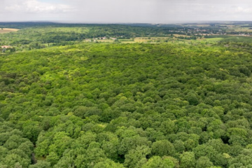 Investissement durable : la Macif change d'échelle et vise 1,5 milliard d'euros d'ici 2029