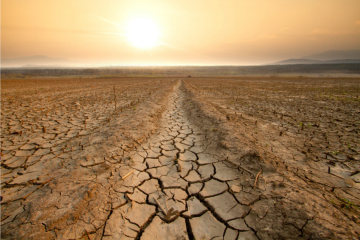 COP17 désertification : les États repoussent l'accord sur la sécheresse à 2028 