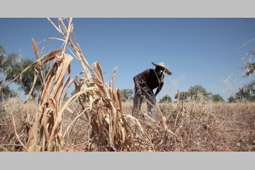 [REPORTAGE] Daouda, réfugié climatique