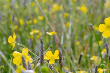 [APPEL À PROJETS] Nature et Découvertes : pédagogie et environnement 