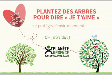 La Saint-Valentin approche ! Plantez des arbres pour dire « Je t’aime » ! 