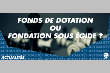 Fonds de dotation ou fondation sous égide : quelle structure choisir ?