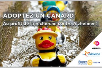 ADOPTEZ UN CANARD AU PROFIT DE LA RECHERCHE CONTRE ALZHEIMER !