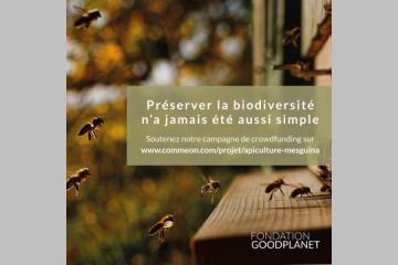 La Fondation GoodPlanet se mobilise pour l'apiculture au Maroc