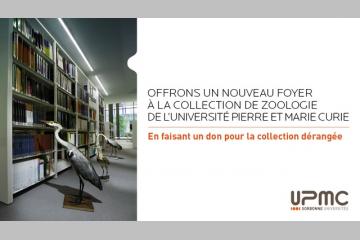 Fondation UPMC : un don pour aménager la collection de zoologie dérangée