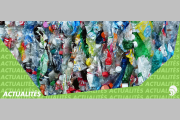 Les Francais jettent 25 M de bouteilles plastiques par jour: comment y remédier?