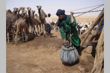 Demain, AVSF vous invite à un Forum et une table ronde sur le Sahel !