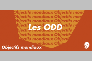 [OBJECTIFS MONDIAUX] Les Objectifs de développement durable et leurs acteurs