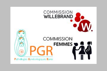 Prise en charge gynécologique des femmes atteintes d’une maladie de l’hémostase