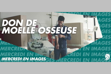 [EN IMAGES] Journée mondiale du don de la moelle osseuse: dissiper les craintes
