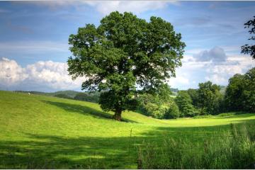 France Nature Environnement adopte un nouveau logo